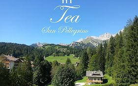 Tea San Pellegrino - Dolomiti
